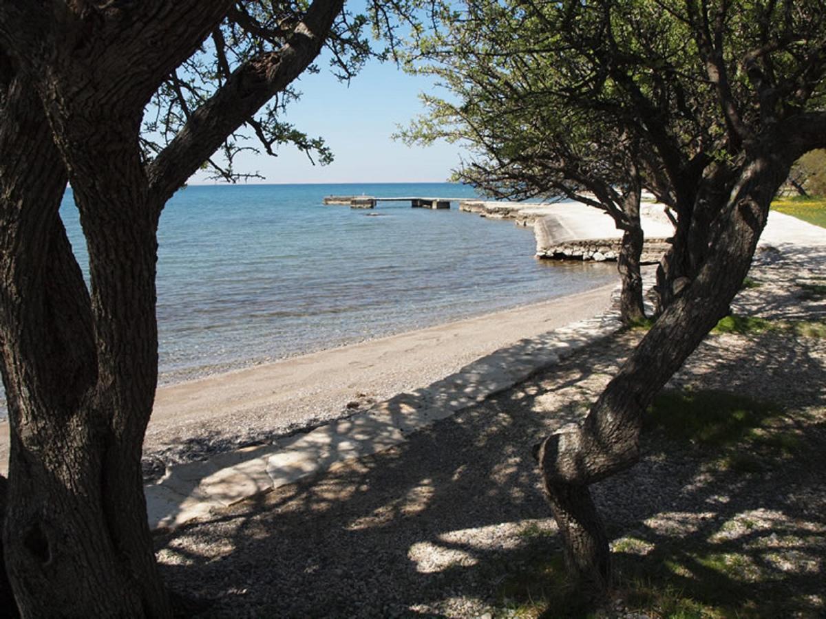 Apartments & Room Masa Starigrad Paklenica Ngoại thất bức ảnh